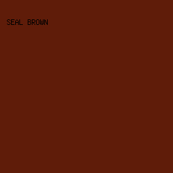 5F1C09 - Seal Brown color image preview