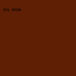 5F1F04 - Seal Brown color image preview