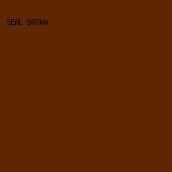 5F2604 - Seal Brown color image preview