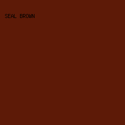 5d1a07 - Seal Brown color image preview