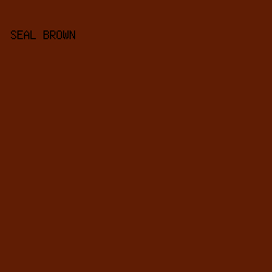 601d04 - Seal Brown color image preview