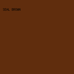 602d0d - Seal Brown color image preview