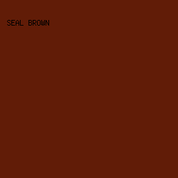 611C07 - Seal Brown color image preview