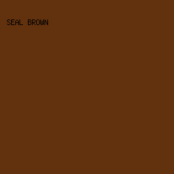 62310e - Seal Brown color image preview