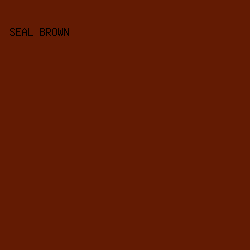 631B03 - Seal Brown color image preview