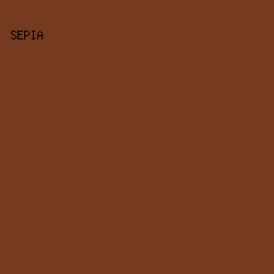 753A1F - Sepia color image preview