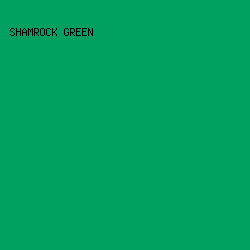 00a160 - Shamrock Green color image preview