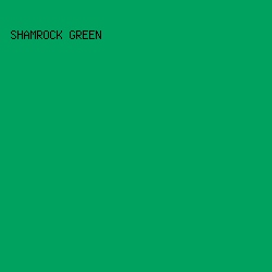 00a25f - Shamrock Green color image preview