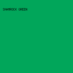 01a65a - Shamrock Green color image preview