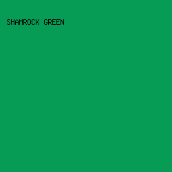 069C56 - Shamrock Green color image preview