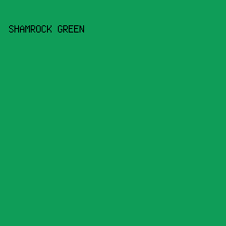0f9d58 - Shamrock Green color image preview