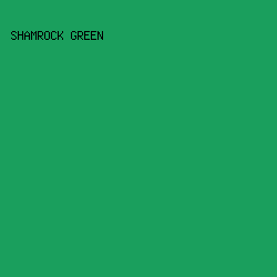 1A9F5D - Shamrock Green color image preview