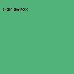51B379 - Shiny Shamrock color image preview