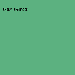 5CB180 - Shiny Shamrock color image preview
