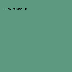 5D9980 - Shiny Shamrock color image preview