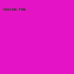 E413C3 - Shocking Pink color image preview