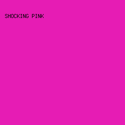 E61CB4 - Shocking Pink color image preview