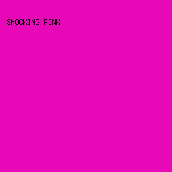 E709B7 - Shocking Pink color image preview