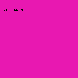 E818B1 - Shocking Pink color image preview