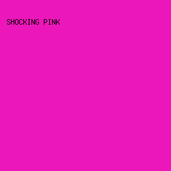EC17BA - Shocking Pink color image preview