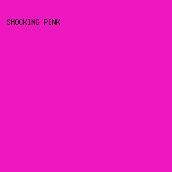 ED18BF - Shocking Pink color image preview