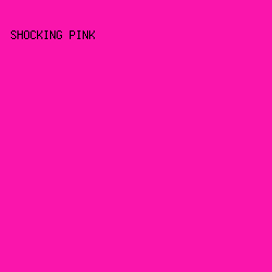 FA15AC - Shocking Pink color image preview