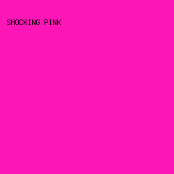 FC16B7 - Shocking Pink color image preview