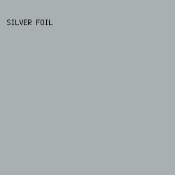 A8B0B2 - Silver Foil color image preview