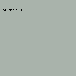 A9B3AB - Silver Foil color image preview