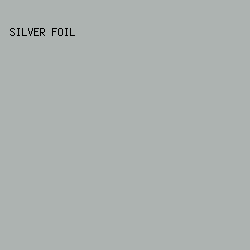 ADB3B1 - Silver Foil color image preview