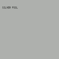 AEB0AE - Silver Foil color image preview