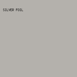 B4B1AC - Silver Foil color image preview