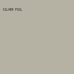 B5B1A3 - Silver Foil color image preview