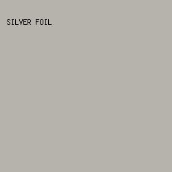 B6B3AC - Silver Foil color image preview