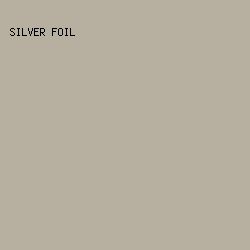 B7AFA0 - Silver Foil color image preview