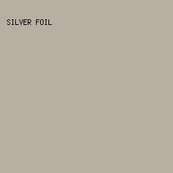 B7AFA2 - Silver Foil color image preview