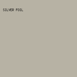 B7B2A4 - Silver Foil color image preview