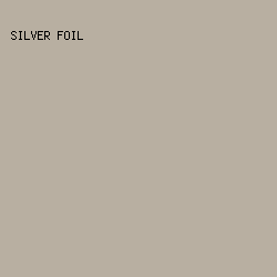 B8AFA1 - Silver Foil color image preview