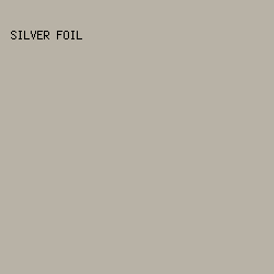 B8B2A6 - Silver Foil color image preview