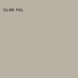 B9B2A4 - Silver Foil color image preview