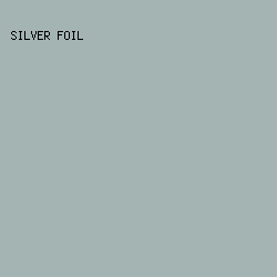 a4b4b3 - Silver Foil color image preview