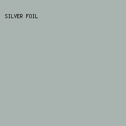 a9b3b0 - Silver Foil color image preview
