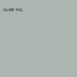 acb5af - Silver Foil color image preview