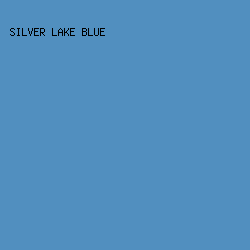 518FBF - Silver Lake Blue color image preview