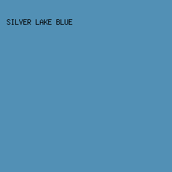 5290b5 - Silver Lake Blue color image preview