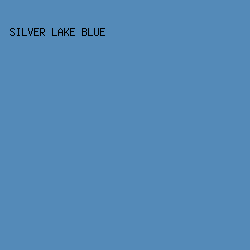 548AB8 - Silver Lake Blue color image preview