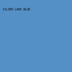 5490C5 - Silver Lake Blue color image preview