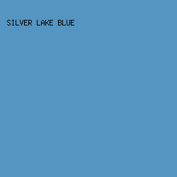 5595C1 - Silver Lake Blue color image preview