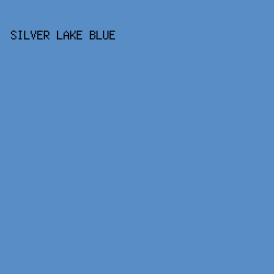 588DC6 - Silver Lake Blue color image preview