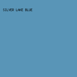 5995b7 - Silver Lake Blue color image preview